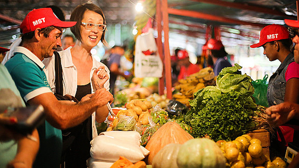 Alimentos