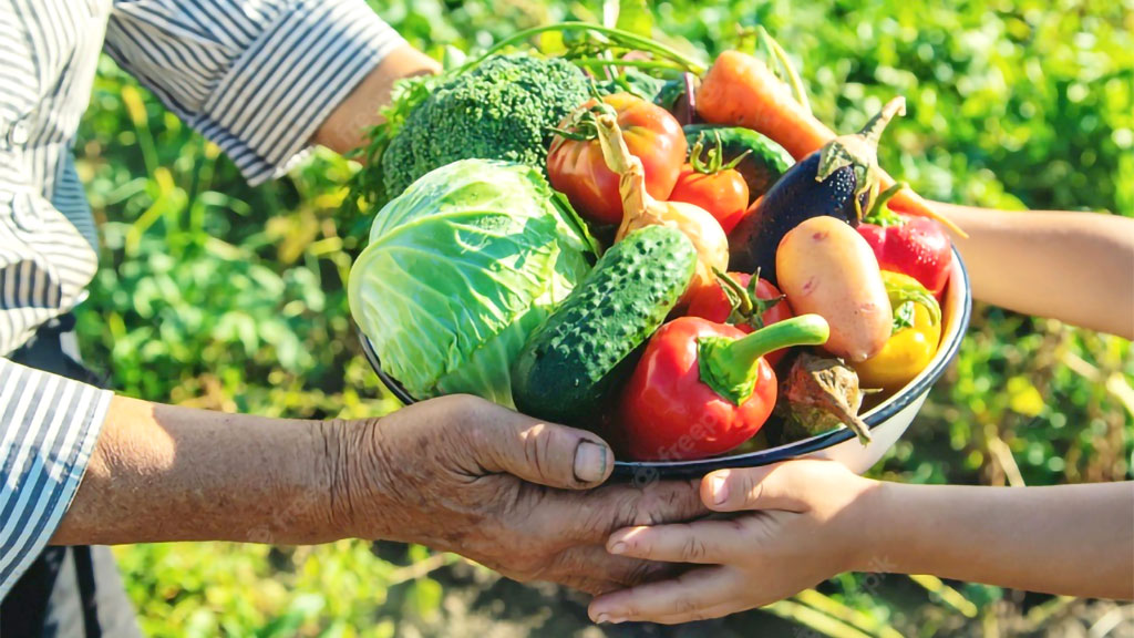 Pronaf, agricultura familiar