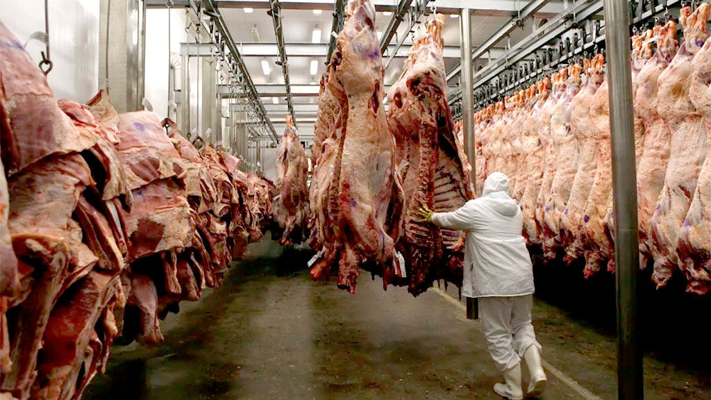 frigorífico,carne,brasil