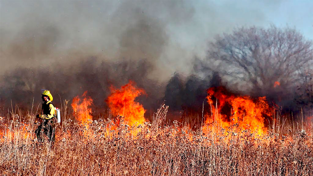 incêndio, bélgica